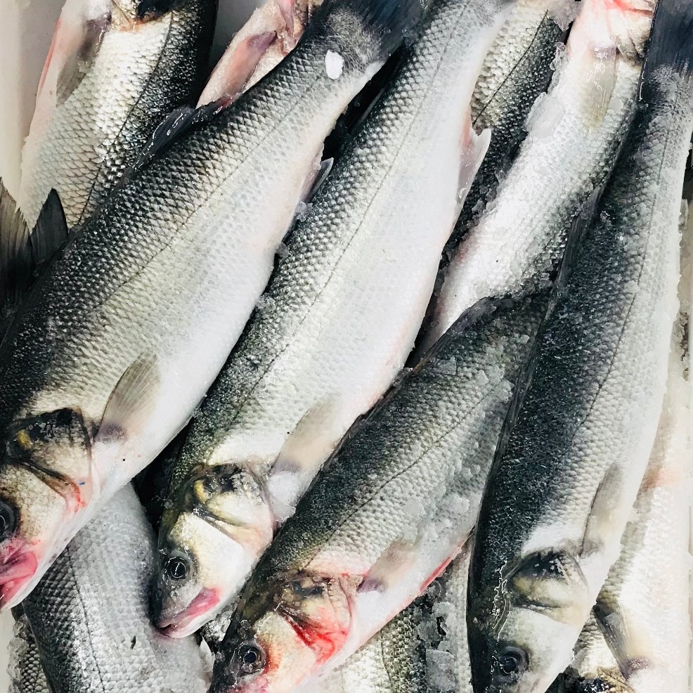 Sea Bass (Whole) Sailbrand
