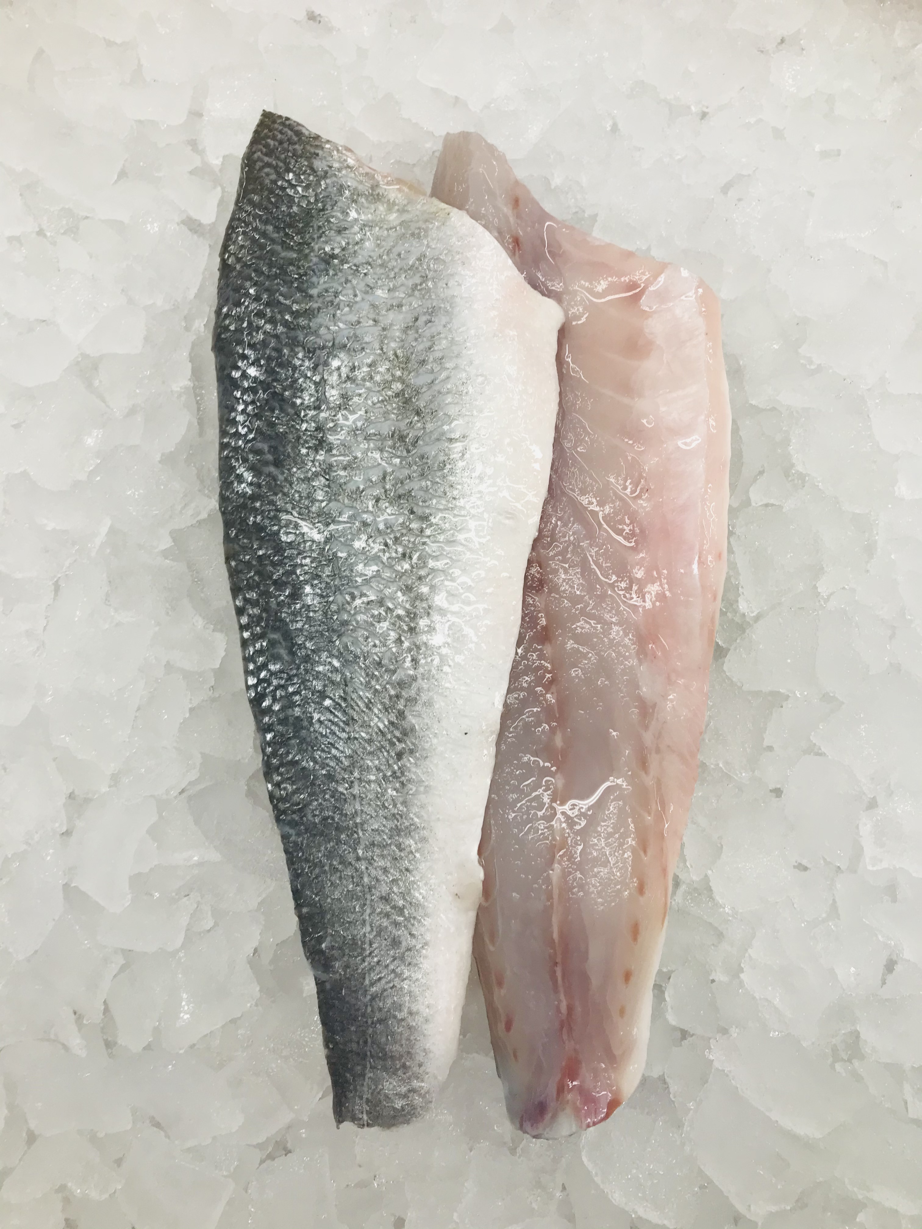 Sea Bass Fillet 140/180g x 2 Sailbrand
